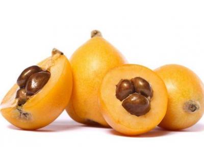 10 خواص باورنکردنی میوه ازگیل ژاپنی یا لوکوآت و روش کاشت آن در منزل